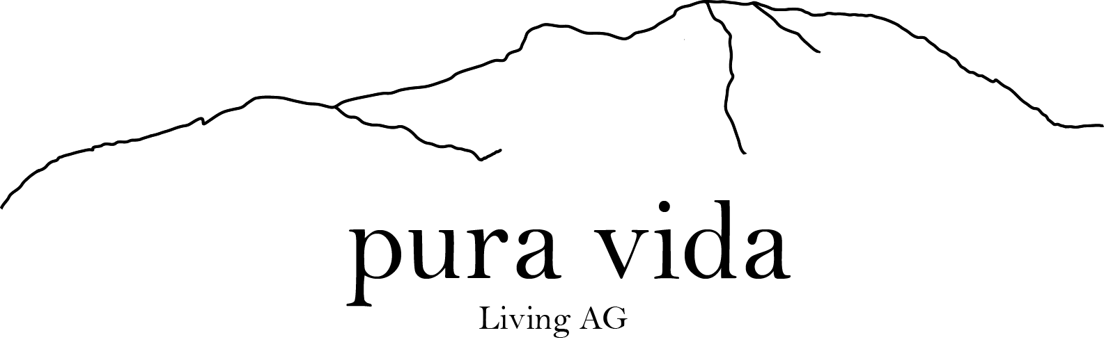 Logo_puravida_living_immobilien_churwalden